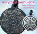 Amulett – Disc ca. 48x58 mm – Lakhovsky MWO + Dodecagram – 58 mm / goldlegiert / schwarz – Produktansicht 1