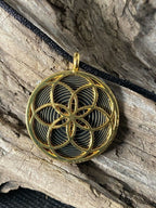 Amulett – Blume des Lebens – Bifilar / Fermat + Blume des Lebens – 30 mm / goldlegiert / nachtschwarz – Produktansicht 1