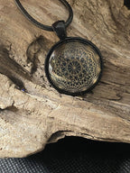 Amulett – Dodecagram – 25 mm / goldlegiert / schwarz – Produktansicht 1