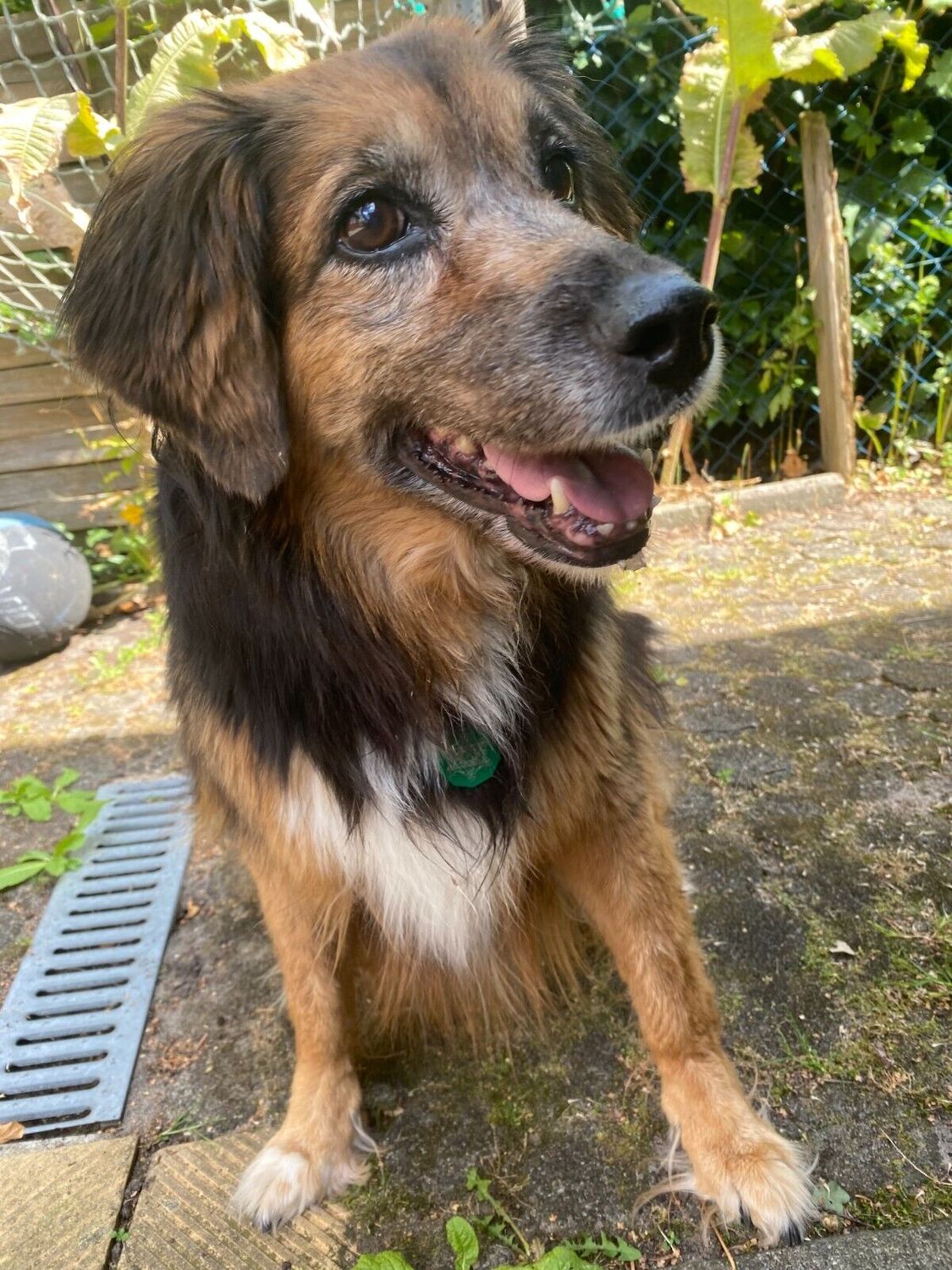 AURYMED Animal Tier Coin Weiß – Beispiel 6