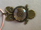 Amulett – Krafttier Eule – Dodecagram – goldlegiert / nachtschwarz – Produktansicht 1