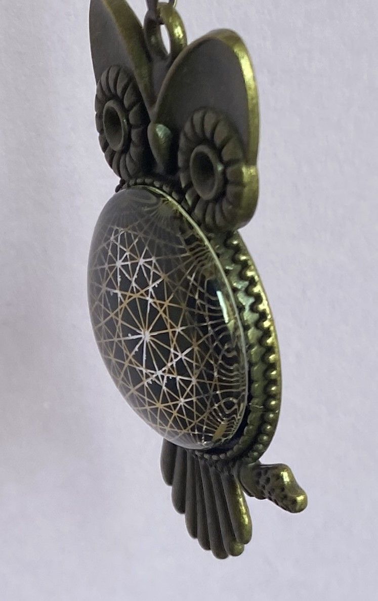 Amulett – Krafttier Eule – Dodecagram – goldlegiert / nachtschwarz – Produktansicht 1
