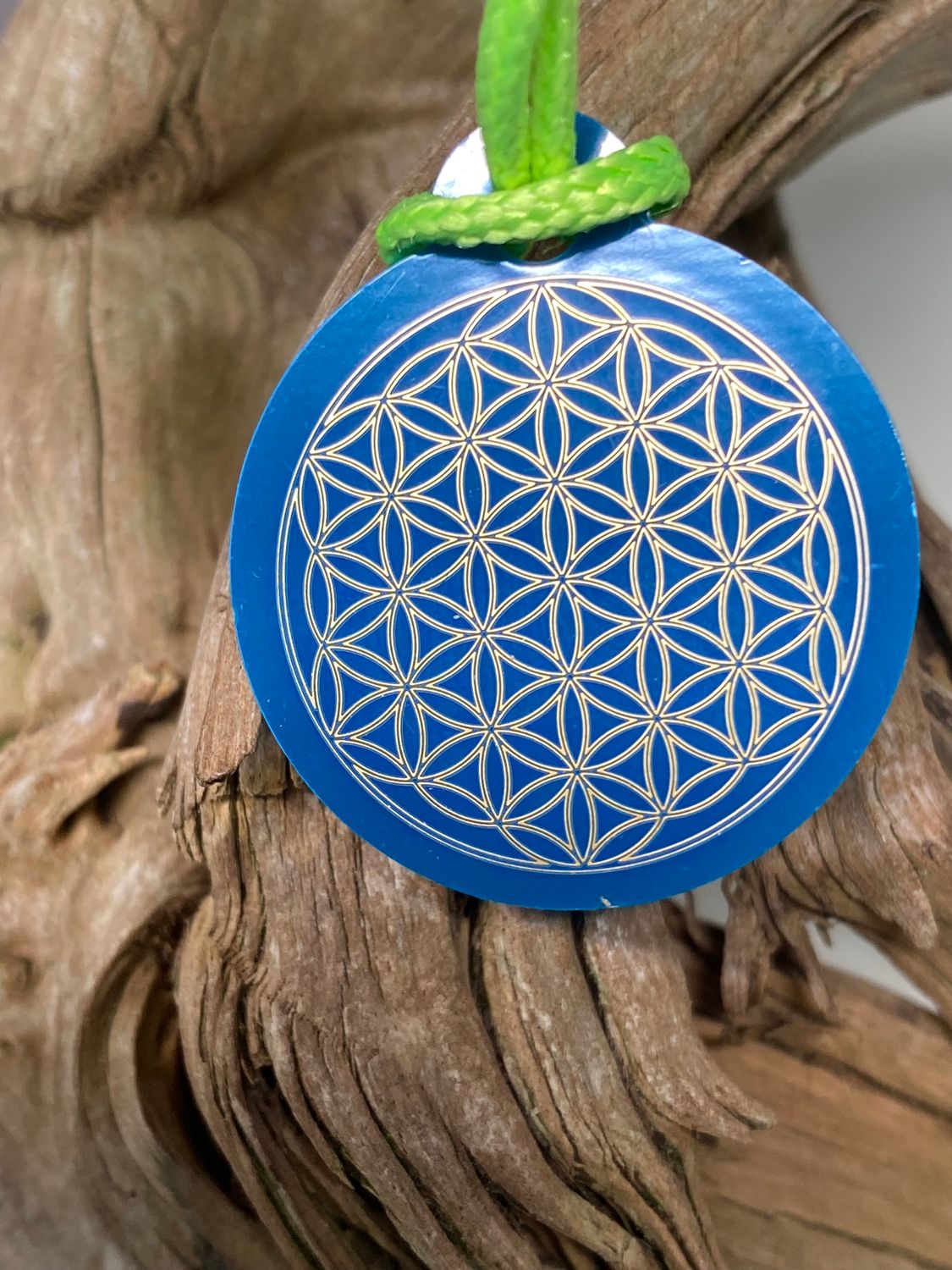Anhänger Mini Serie rund – Lakhovsky MWOn Symbol Design – Blume des Lebens – Produktansicht 1
