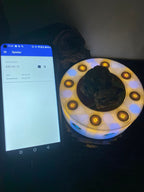 VibraNex LED Krafttier WILDSCHWEIN – LED – & Farbe & Füllung wählbar – Produktansicht 10