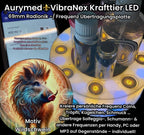 VibraNex LED Krafttier WILDSCHWEIN – LED – & Farbe & Füllung wählbar – Produktansicht 13