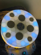 VibraNex LED Krafttier WILDSCHWEIN – LED – & Farbe & Füllung wählbar – Produktansicht 25