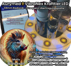 VibraNex LED Krafttier WILDSCHWEIN – LED – & Farbe & Füllung wählbar – Produktansicht 19
