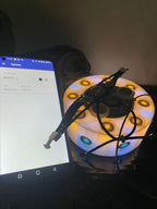 VibraNex LED Krafttier Fuchs – LED – & Farbe & Füllung wählbar – Produktansicht 26