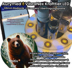 VibraNex LED Krafttier Braunbär – LED – & Farbe & Füllung wählbar – Produktansicht 28