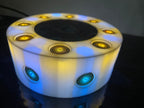 VibraNex LED Krafttier weißer Wolf – LED – & Farbe & Füllung wählbar – Produktansicht 35